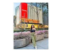 Top Class ↠ Call Girls In Vaishali ✨8527941488✨ Ghaziabad Escorts ServiCe